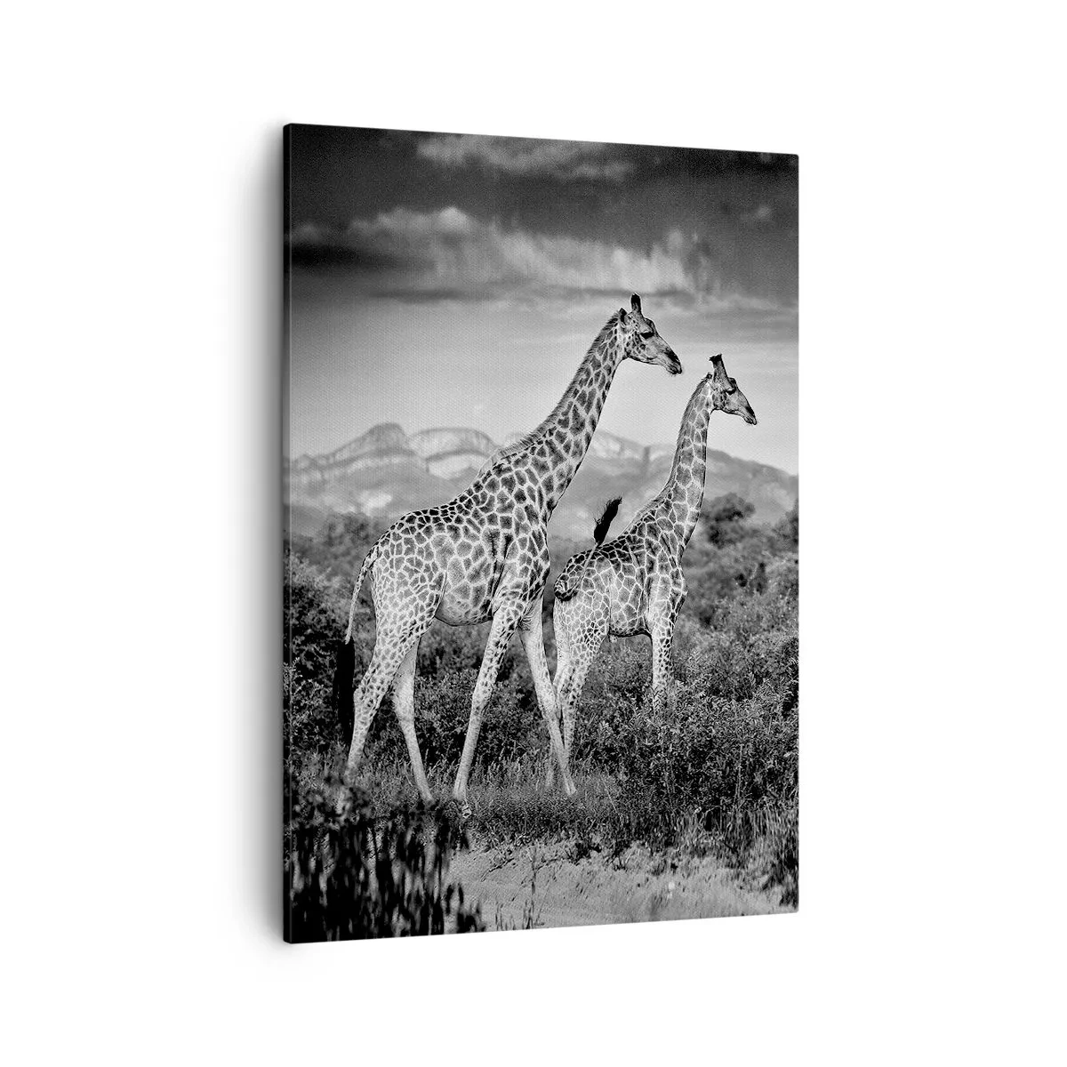 Canvas picture - Higher Spheres in Africa - 50x70 cm