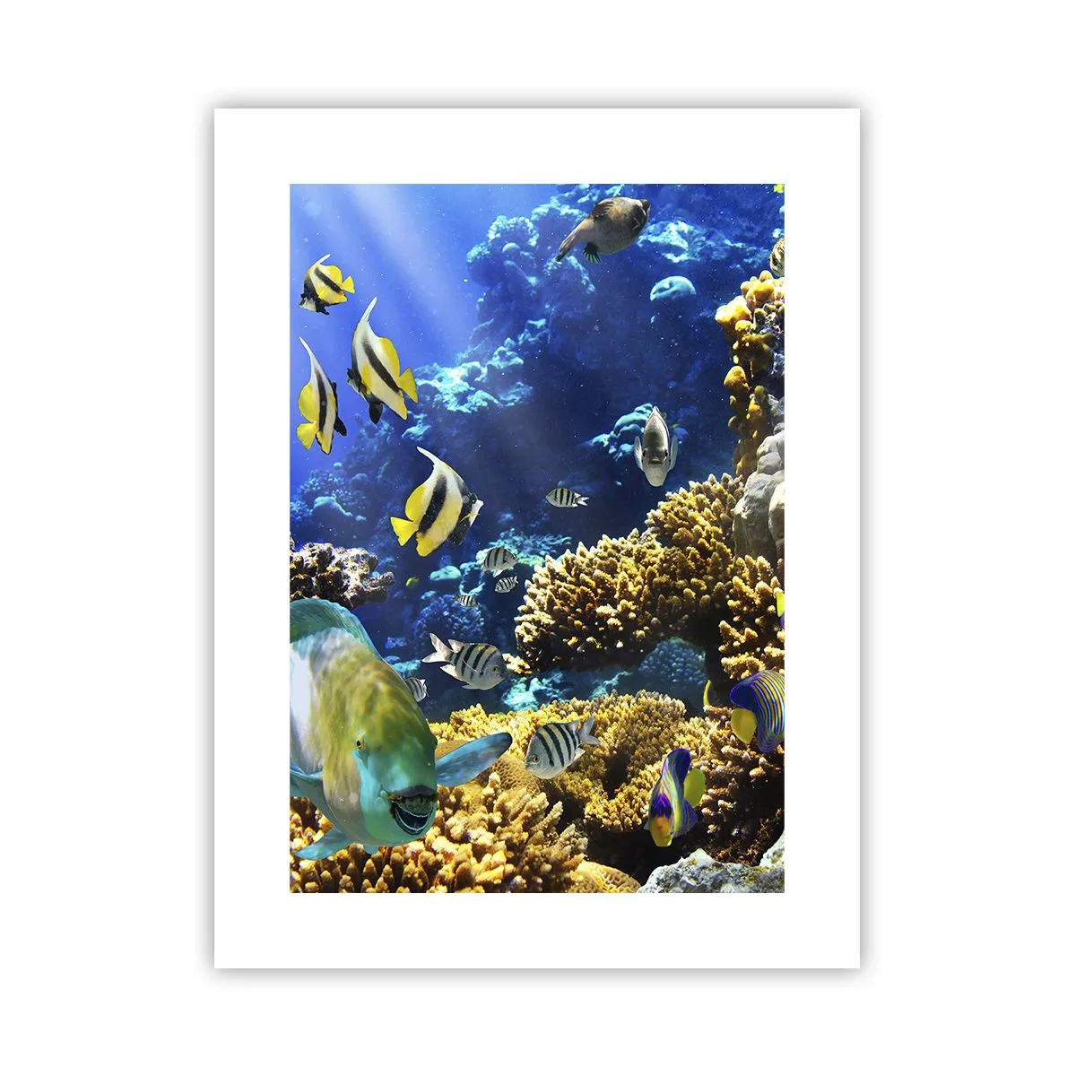 Poster - Big Traffic to Holiday Destination - 30x40 cm