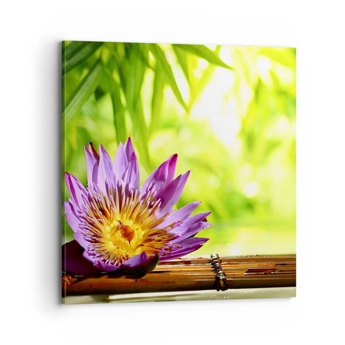 Canvas picture - In the Asian Sun - 70x70 cm