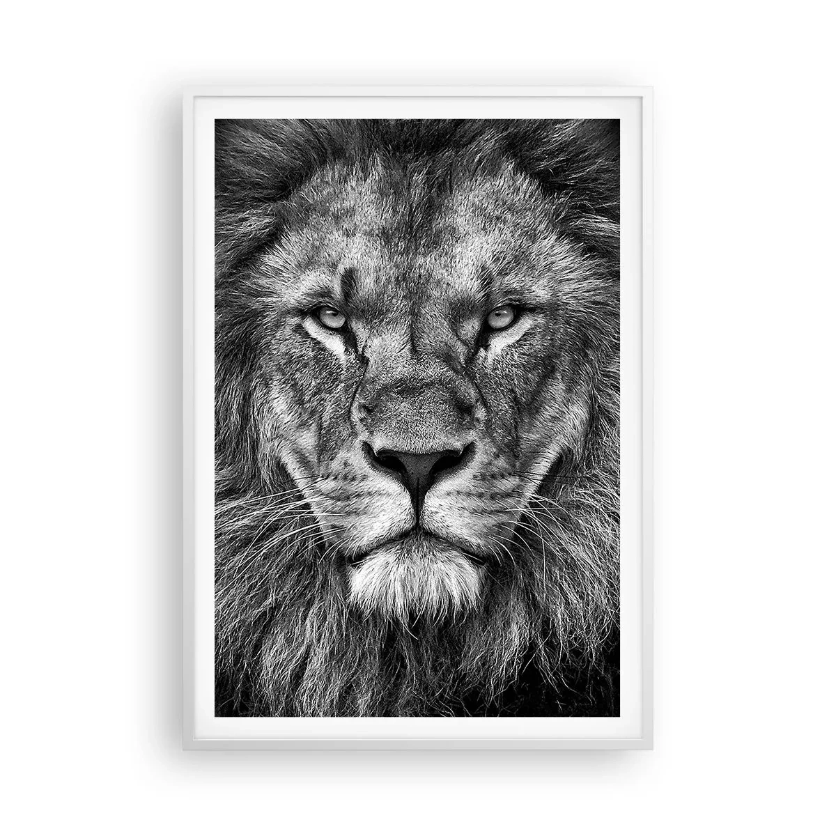 Poster in white frmae - In Coronation Clothes - 70x100 cm