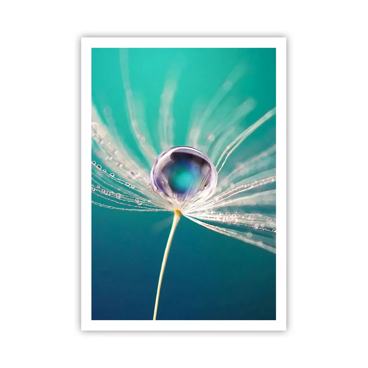 Poster - Mystical Moment - 70x100 cm