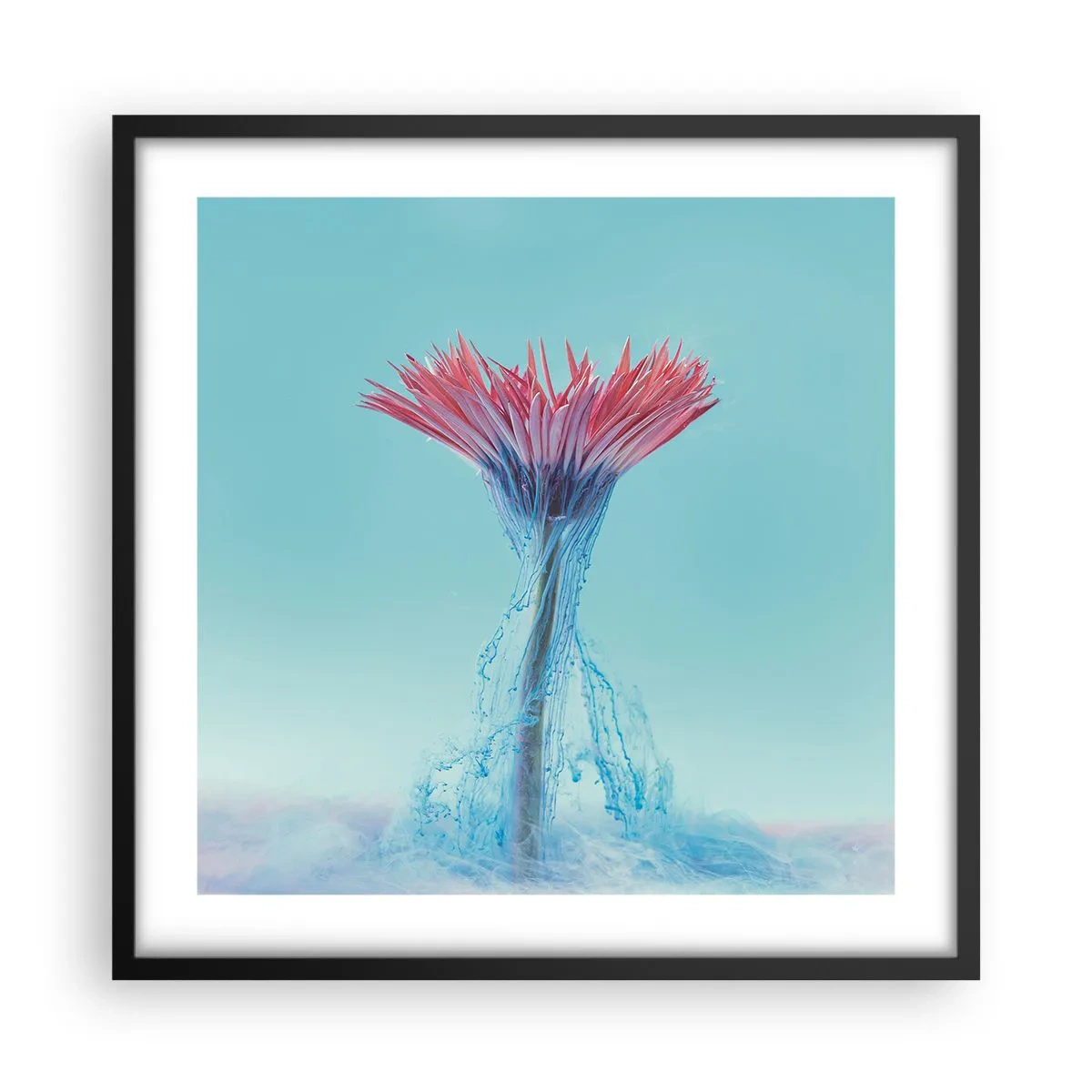 Poster in black frame - In a Lively Embrace - 50x50 cm