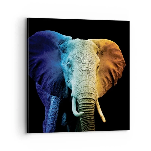 Canvas picture - Eccentric, Not a Weirdo - 70x70 cm