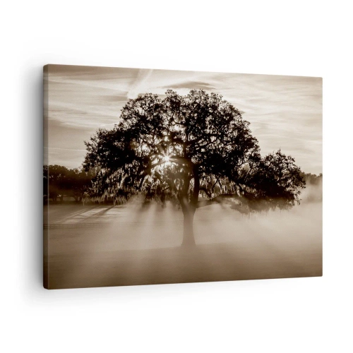 Canvas picture - Rays of sunlight shining through a lonely tree - 70x50cm - Tree of Good Knowledge - Modern wall decoration for the living room and bedroom ARTTOR