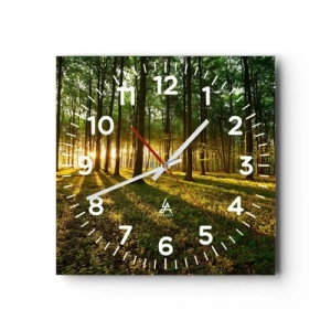 Wall clock - Clock on glass - Photography of All Springs - 40x40 cm