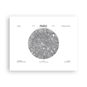Poster - Anatomy of Paris - 50x40 cm