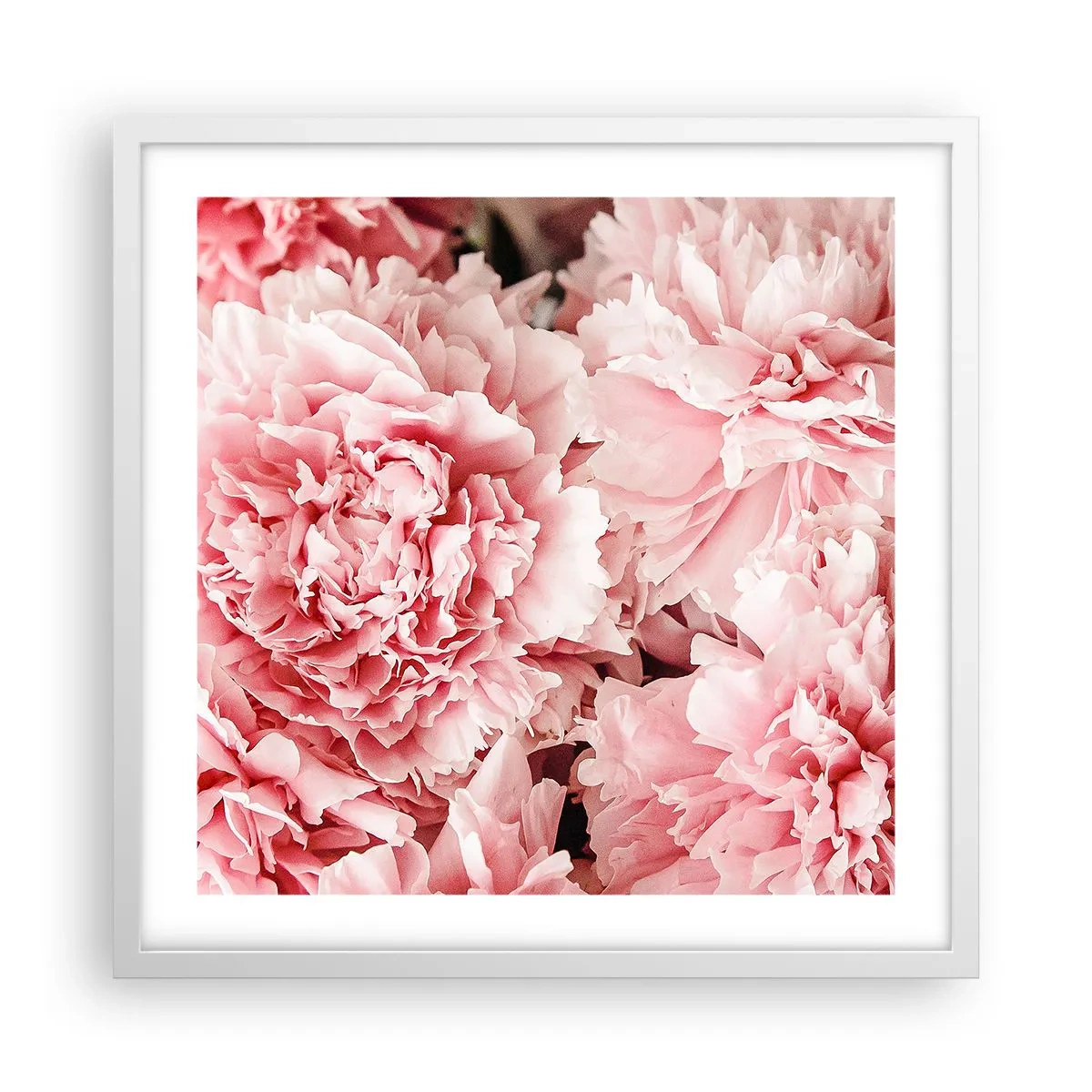 Poster in white frmae - Pink Dreams - 50x50 cm