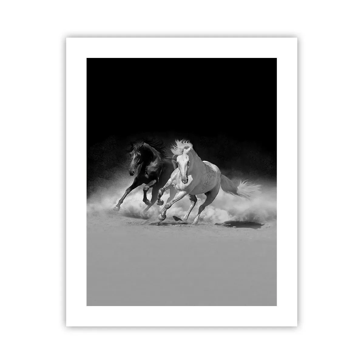 Poster - Gallop of Freedom - 40x50 cm