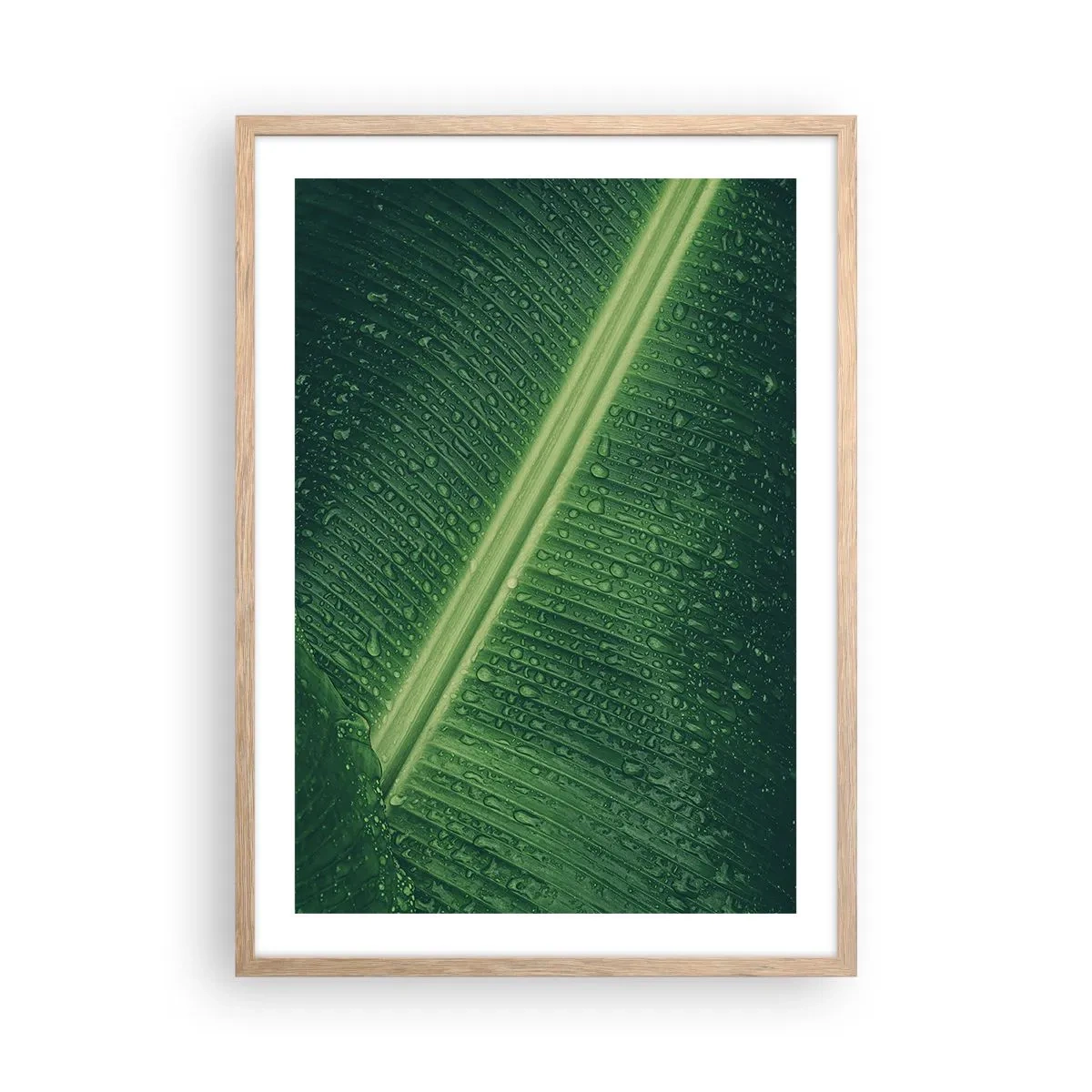 Poster in light oak frame - Structure of Green - 50x70 cm