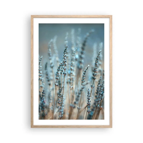 Poster in light oak frame - Fragrant Grass - 50x70 cm