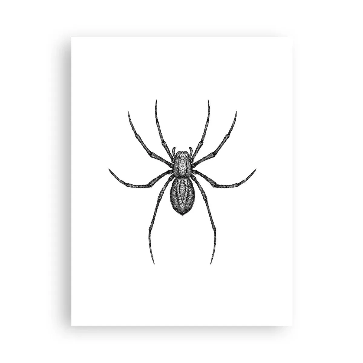 Poster - Disturbing Precision - 30x40 cm