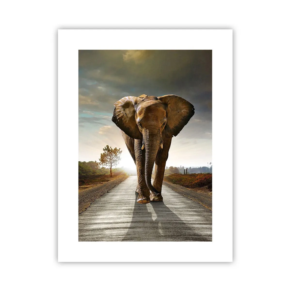 Poster - Not in a China Shop - 30x40 cm