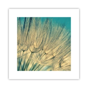 Poster - Waiting for the Wind - 30x30 cm