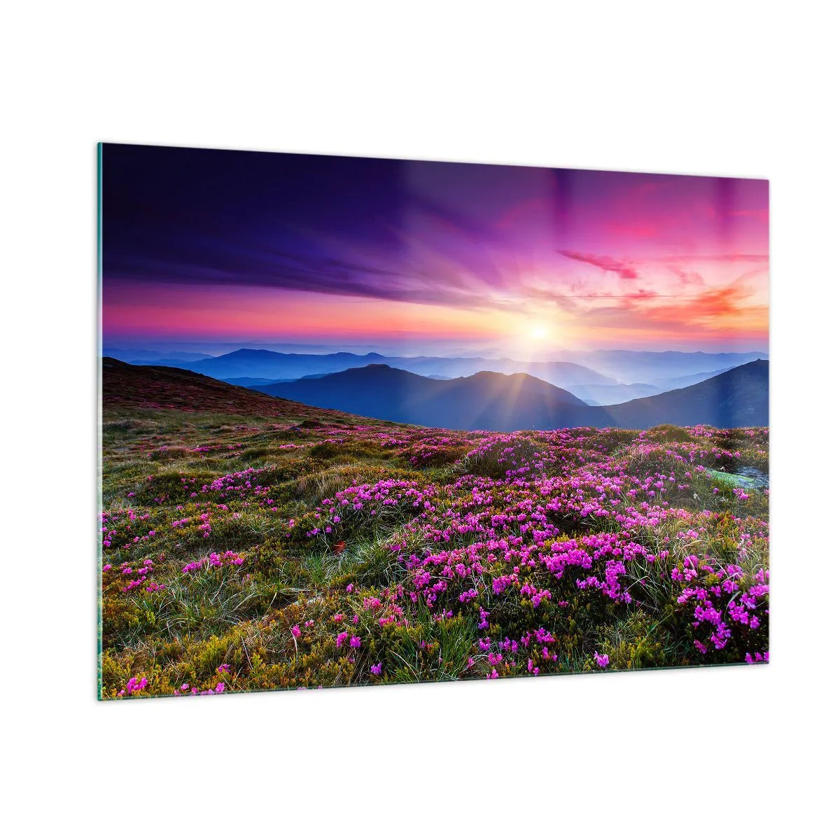 Glass picture - Smells Strongly of Herbs - 100x70 cm