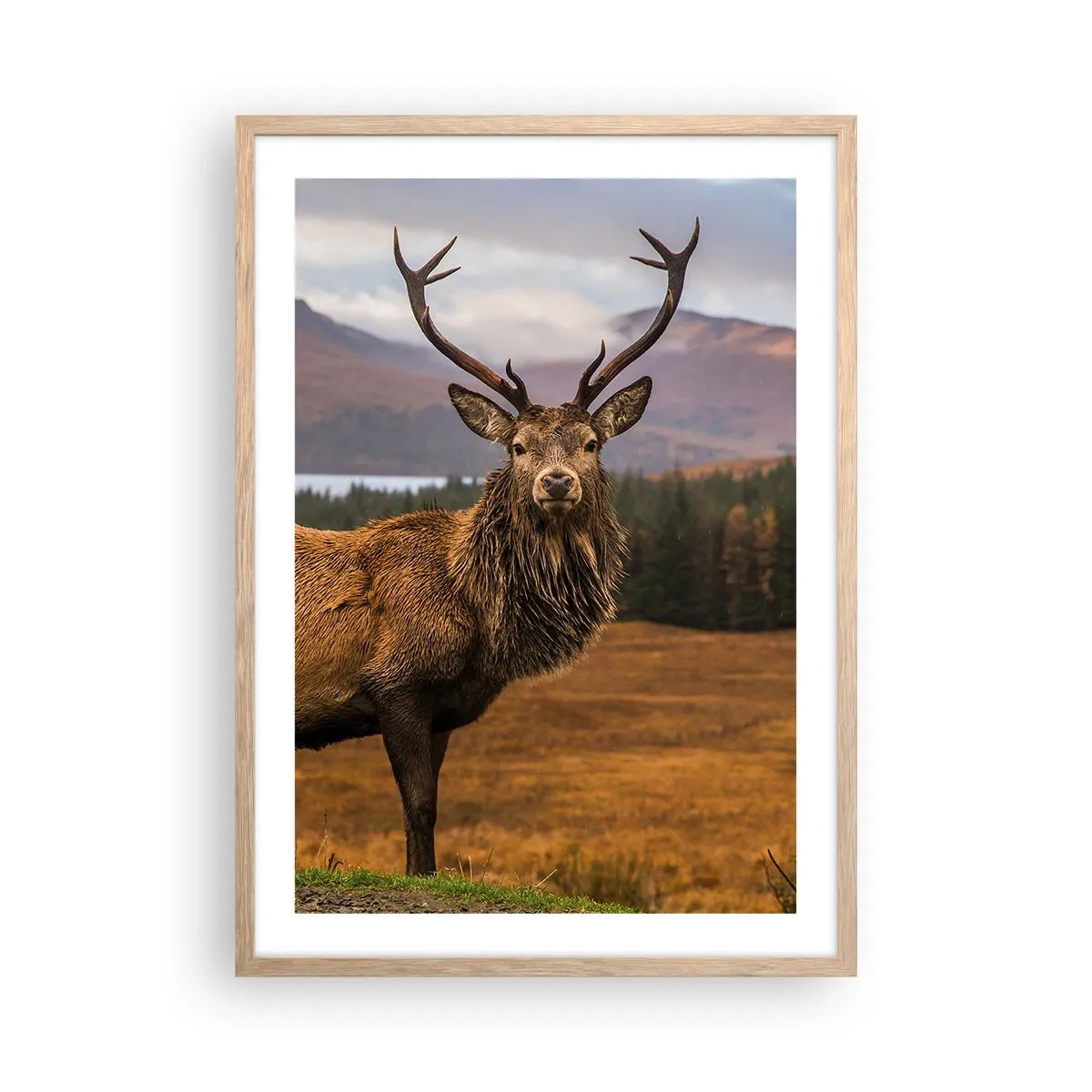 Poster in light oak frame - Majesty of Nature - 50x70 cm
