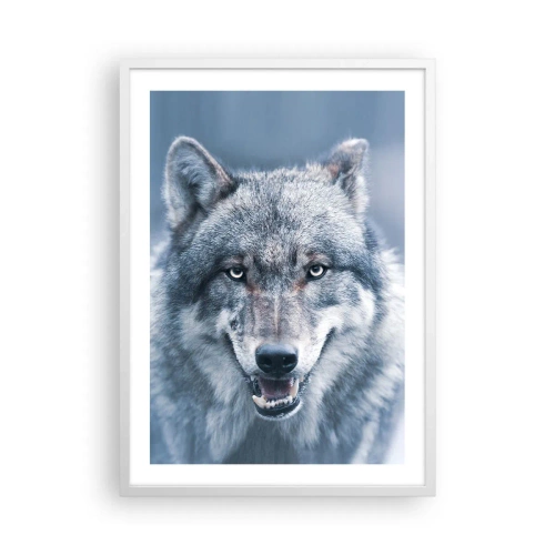 Poster in white frmae - Will You Take Up the Challenge? - 50x70 cm