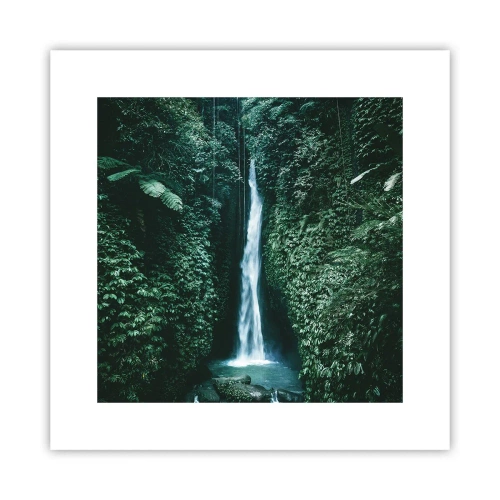 Poster - Tropical Spring - 30x30 cm