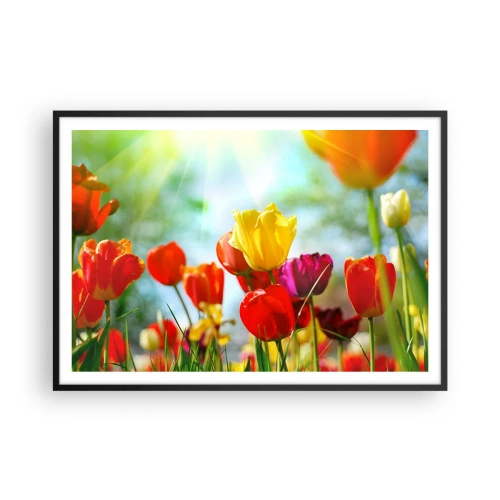 Poster in black frame - All Colours of the Sun - 100x70 cm