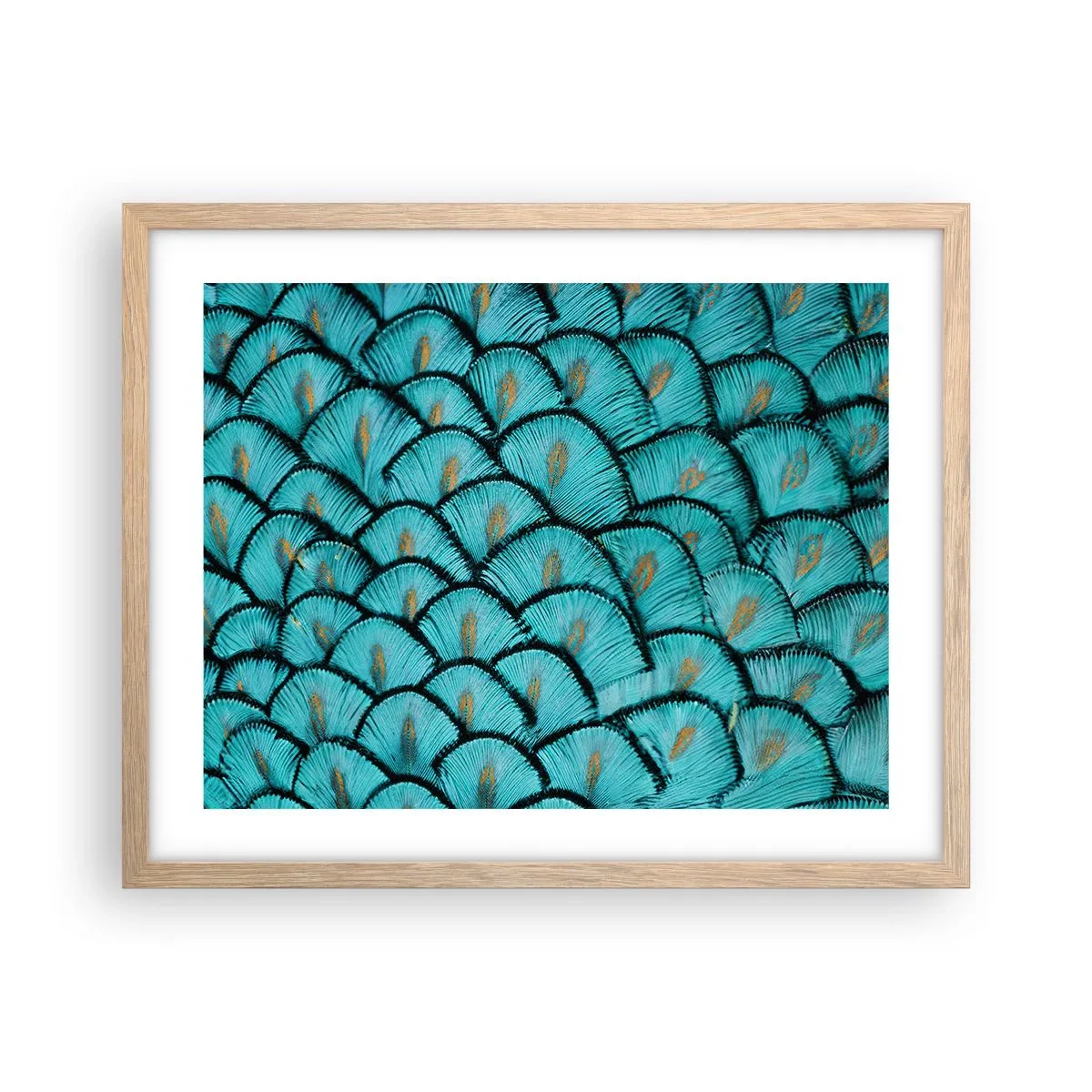 Poster in light oak frame - Great Feather Gala - 50x40 cm