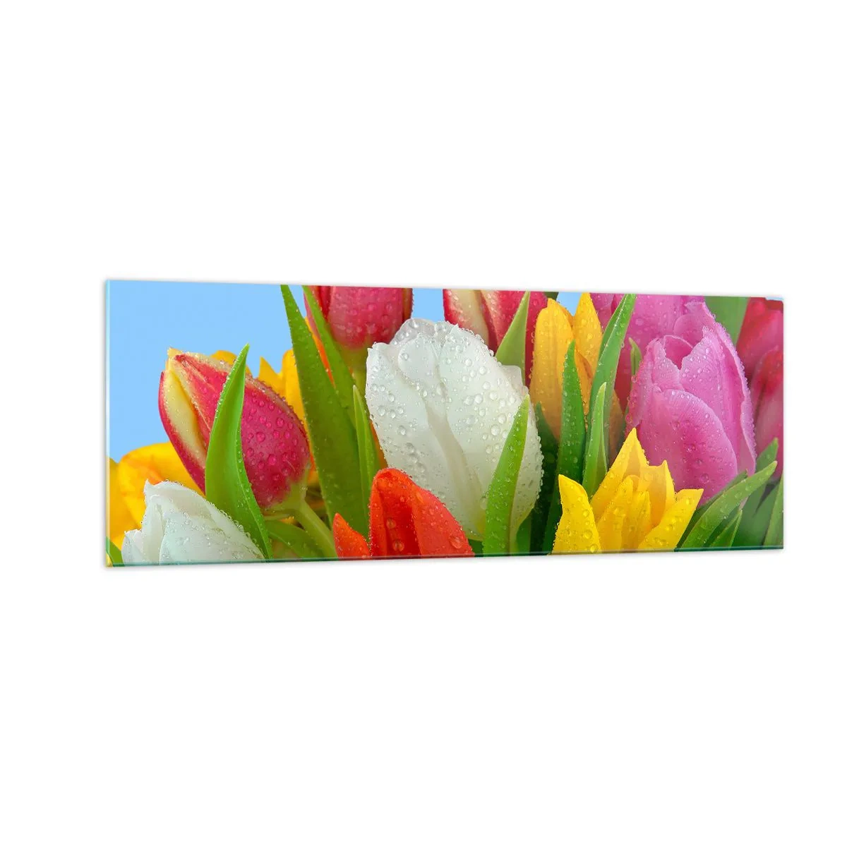 Glass picture - Floral Rainbow in Dew Drops - 140x50 cm