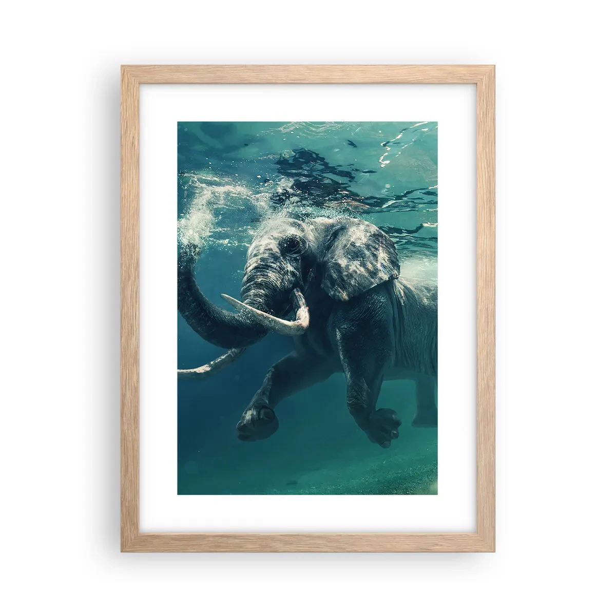 Poster in light oak frame - Everyone Likes to Swim - 30x40 cm