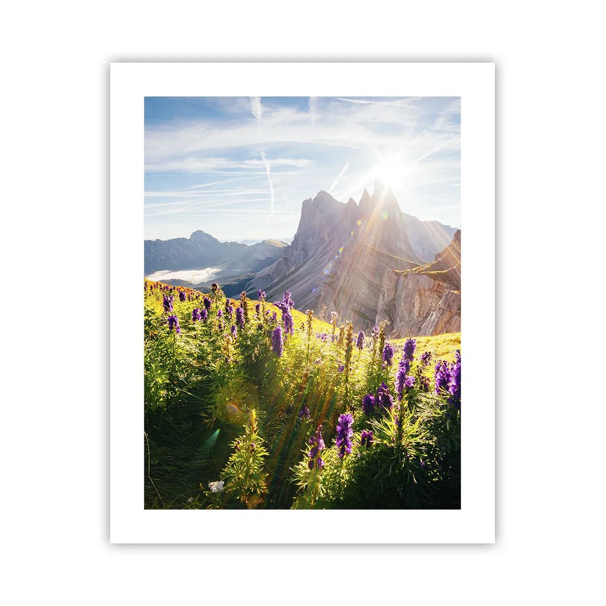 Poster - Secret Life of Herbs - 40x50 cm