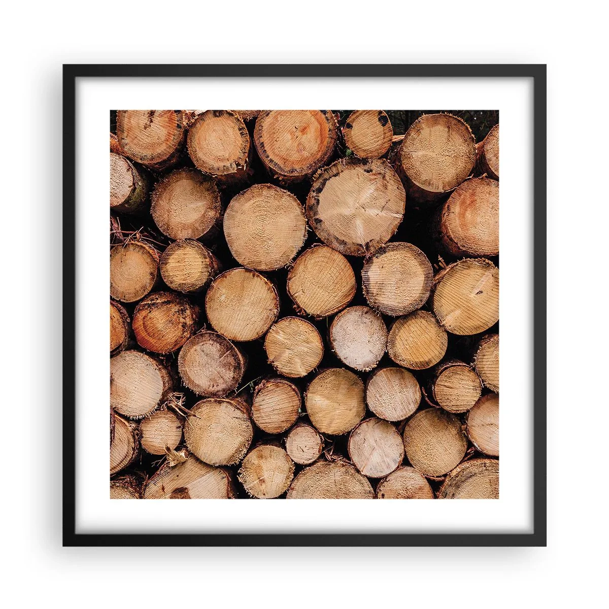 Poster in black frame - New Beginning - 50x50 cm