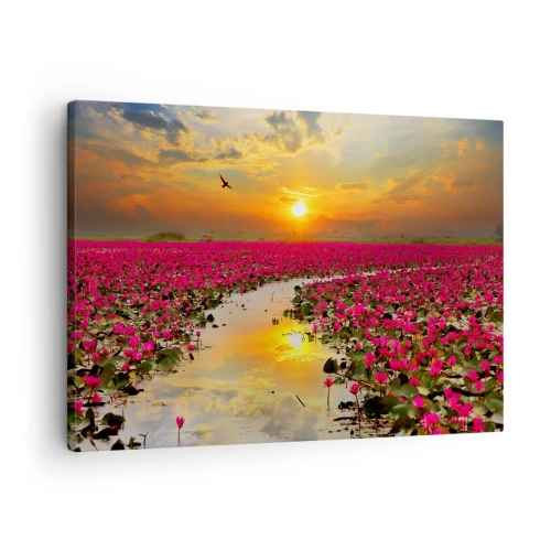 Canvas picture - A field of pink water lilies at sunset - 70x50cm - Secret Life of a Lake - Modern wall decoration for the living room and bedroom ARTTOR