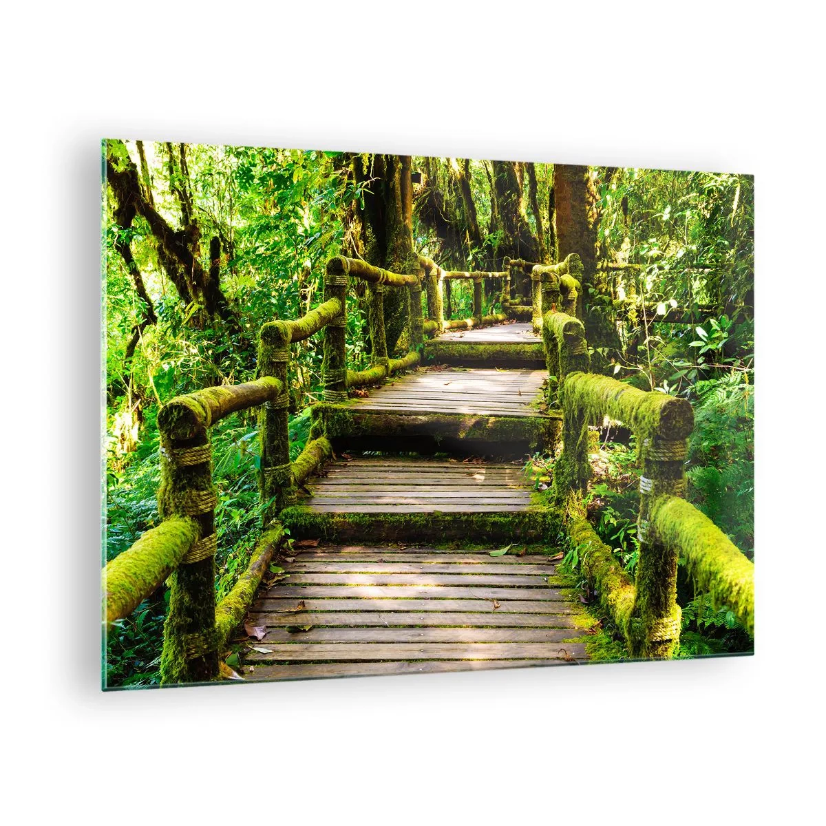 Glass picture - A wooden path in a green forest covered with moss - 70x50cm - Down the Green Path - Modern wall decoration for the living room and bedroom ARTTOR