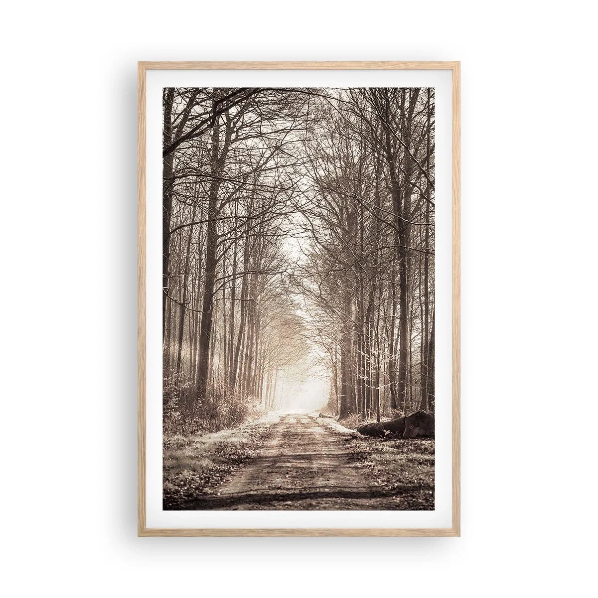 Poster in light oak frame - Cathedral of the Forest - 61x91 cm