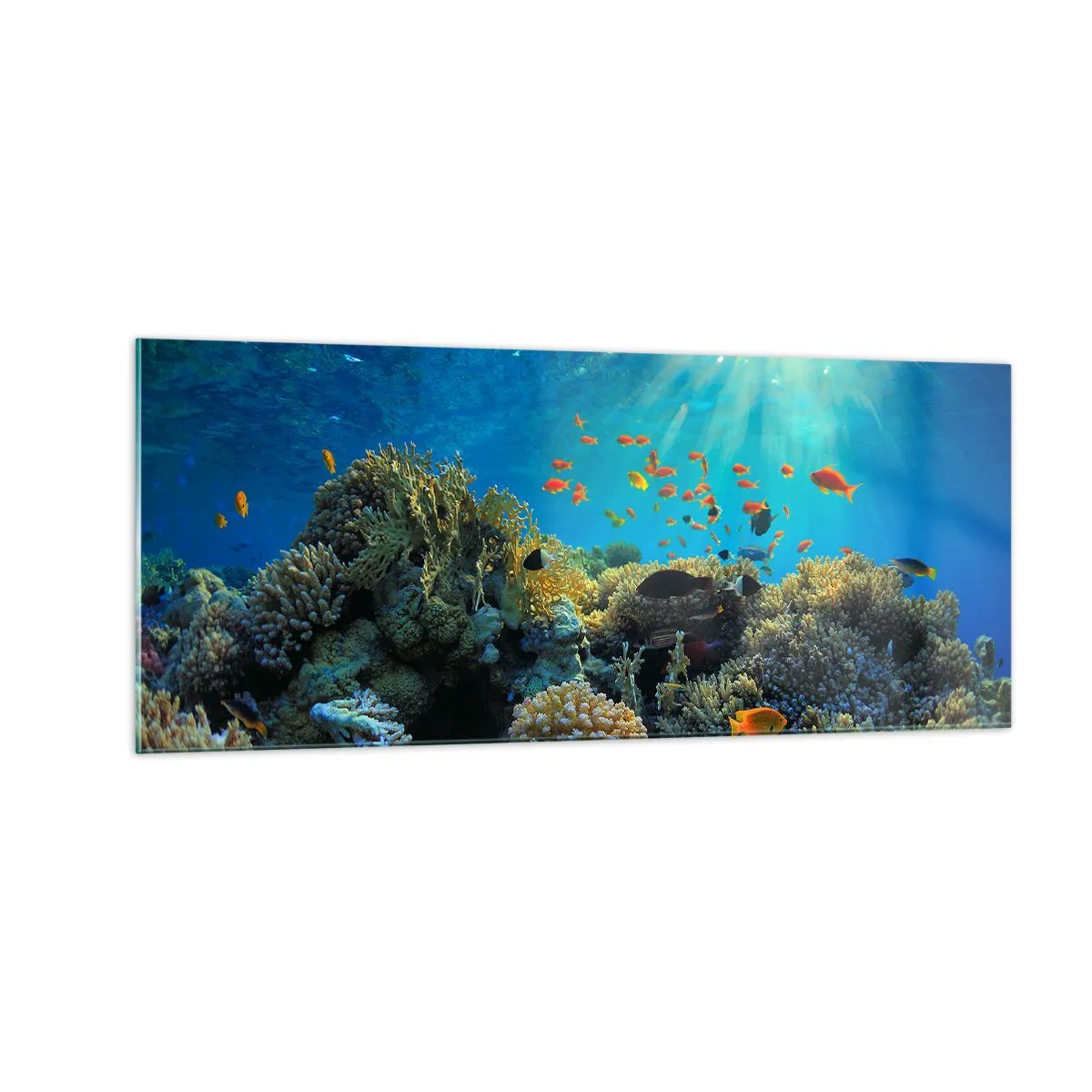Glass picture - Underwater Treasures - 100x40 cm