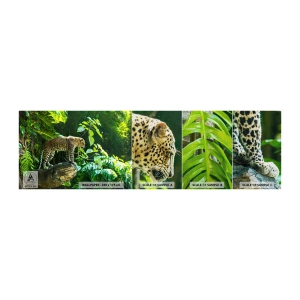 Photo Wallpaper Sample Premium Canvas - Going Hunting? - Jungle, leopard, Tropics - 100x30 cm