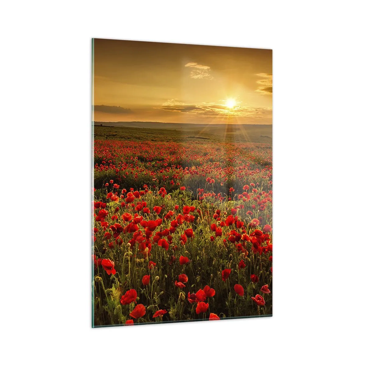 Glass picture - In the Meadow, among Flood of Flowers - 50x70 cm