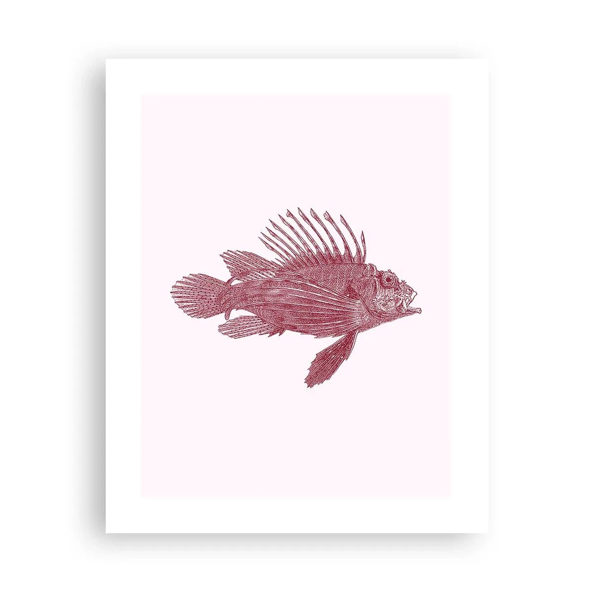 Poster - Dweller of Exotic Waters - 40x50 cm