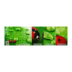 Photo Wallpaper Sample Premium Sand - Encounter in Green - Nature, Ladybird, A drop of water - 100x30 cm