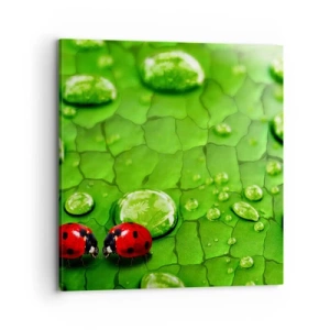 Canvas picture - Encounter in Green - 70x70 cm