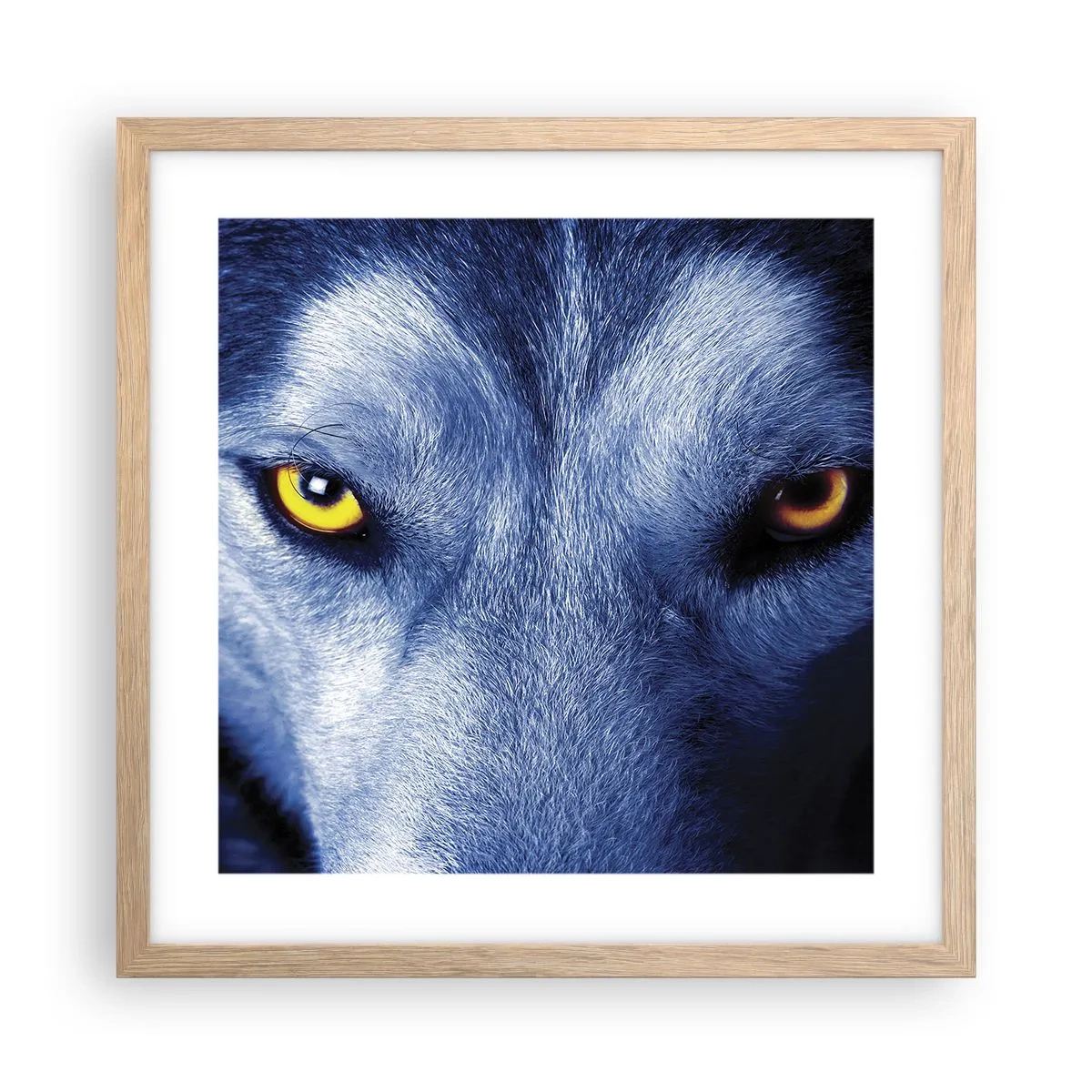 Poster in light oak frame - Mesmerising Look - 40x40 cm