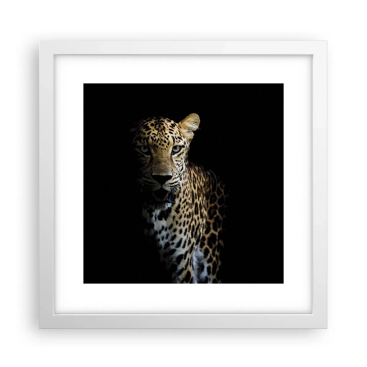 Poster in white frmae - Dark Beauty - 30x30 cm