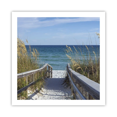 Poster - In the Sun, out in the Wind - 60x60 cm