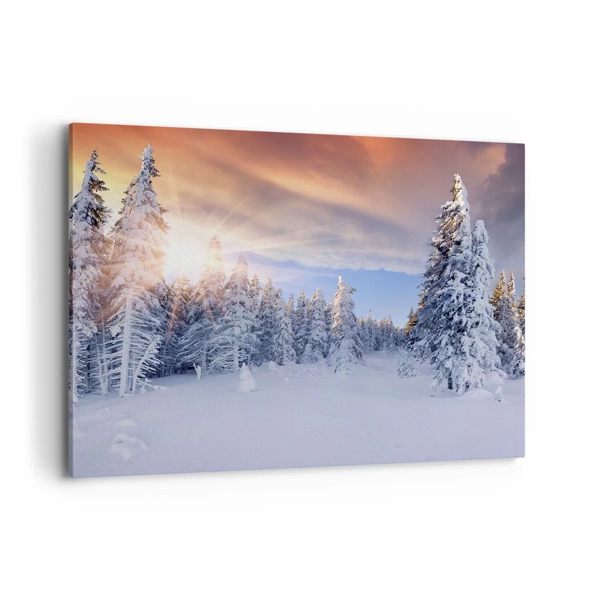 Canvas picture - Snowy Spectacle of Nature - 100x70 cm