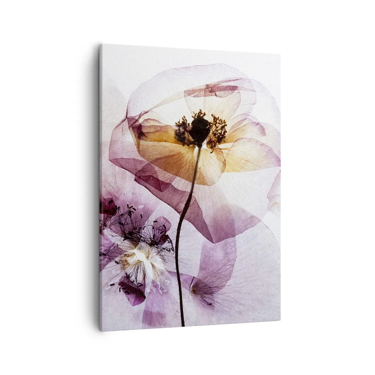 Canvas picture - Flower Body Slide - 50x70 cm
