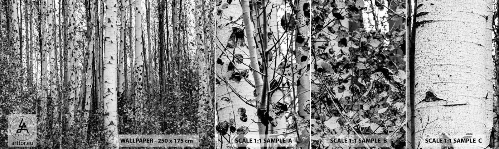 Photo Wallpaper Sample Self-Adhesive Deluxe Sticker - Birch Colonnade - Forest, Birch, Nature - 100x30 cm