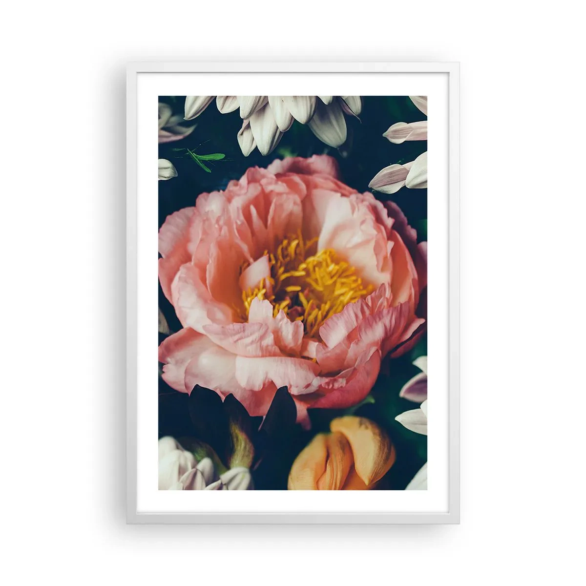 Poster in white frmae - In Baroque Style - 50x70 cm