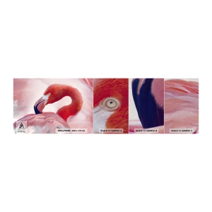 Photo Wallpaper Sample Premium Sand - Bird Look - Flamingo, Bird, Nature - 100x30 cm