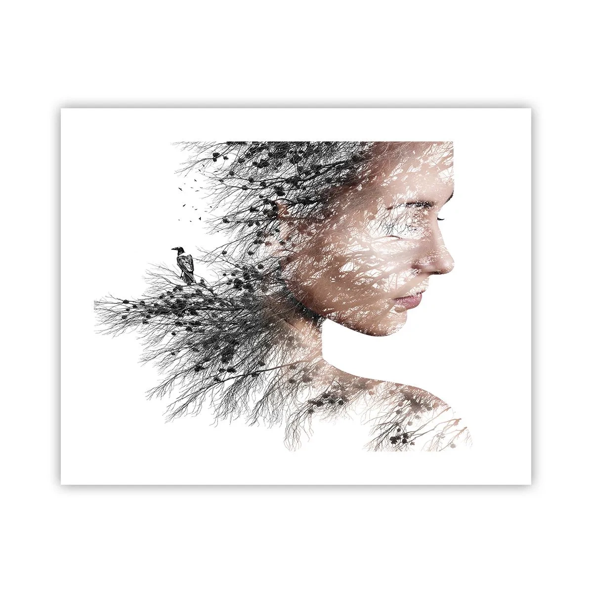 Poster - Spirit of a Forest - 50x40 cm