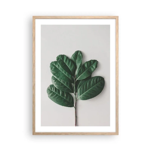Poster in light oak frame - Drawing of Nature Itself - 50x70 cm