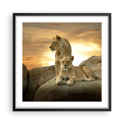Poster in black frame - Royal Majesty - 50x50 cm