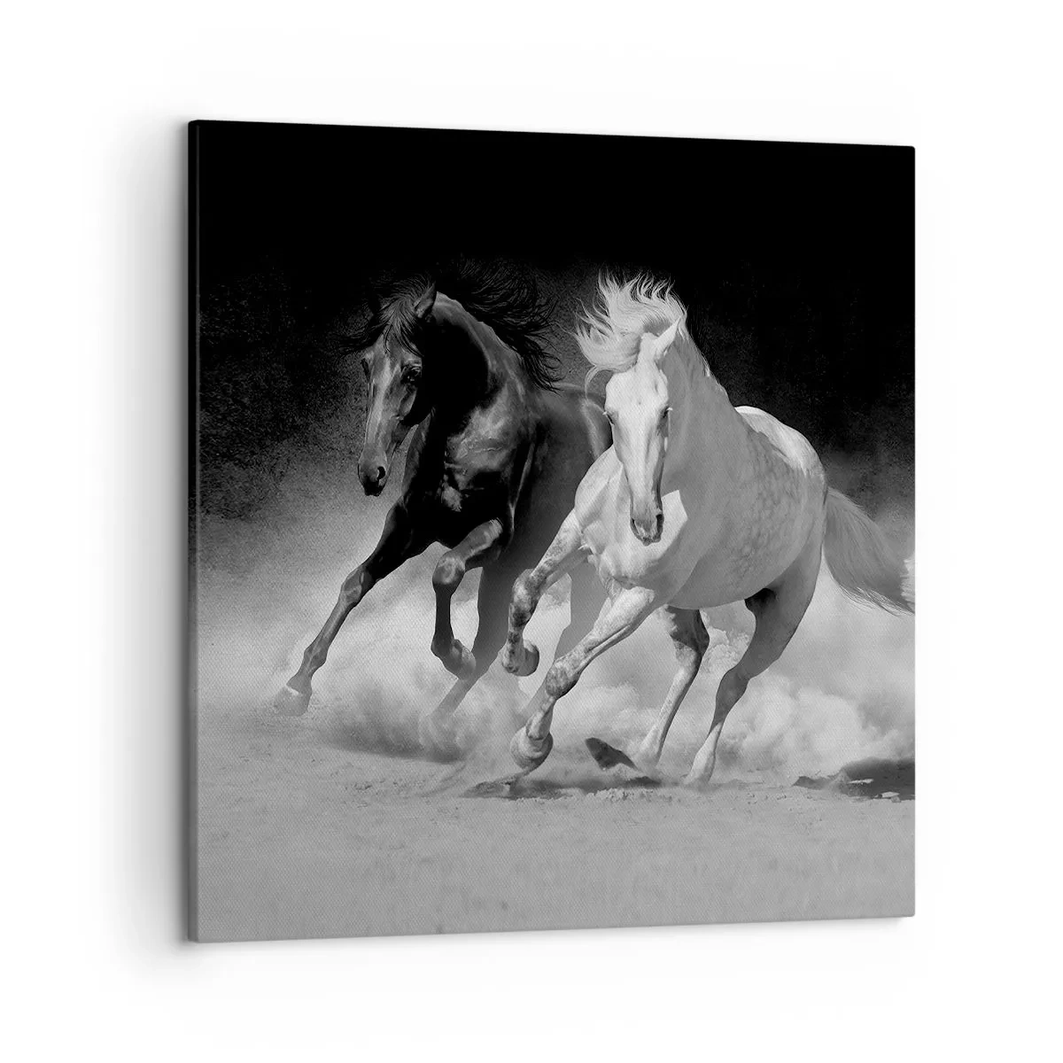 Canvas picture - Gallop of Freedom - 50x50 cm