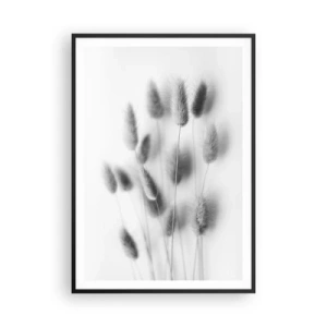Poster in black frame - Her Softness Grass - 70x100 cm