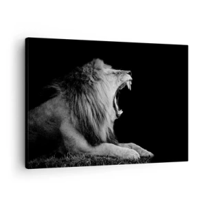 Canvas picture - A roaring lion on a black background in black and white tones - 70x50cm - Without Any Doubt - Modern wall decoration for the living room and bedroom ARTTOR